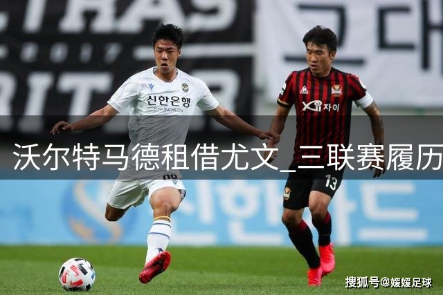 沃尔特马德租借尤文 三联赛履历显实力